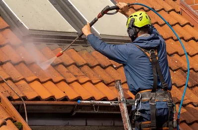 Démoussage et hydrofuge de toiture à Assieu